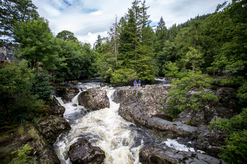 Afon yn llifo dros greigiau wedi'u hamgylchynu gan goed