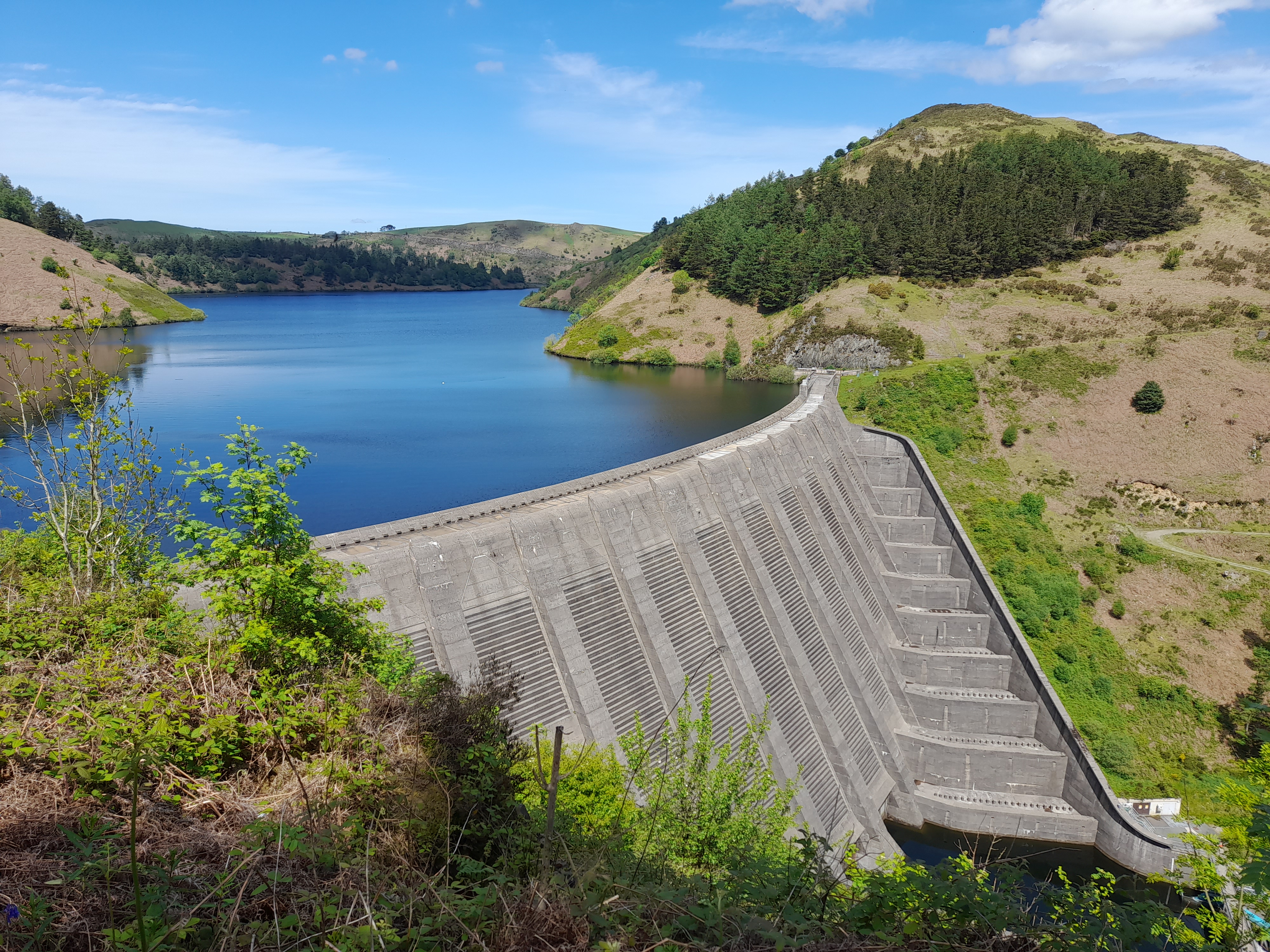 An image of Llyn Clywedog reservoir on a sunny day