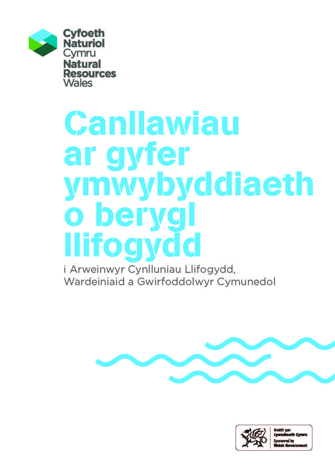 Llun: Canllawiau ar gyfer ymwybyddiaeth o berygl llifogydd (taflen A5)