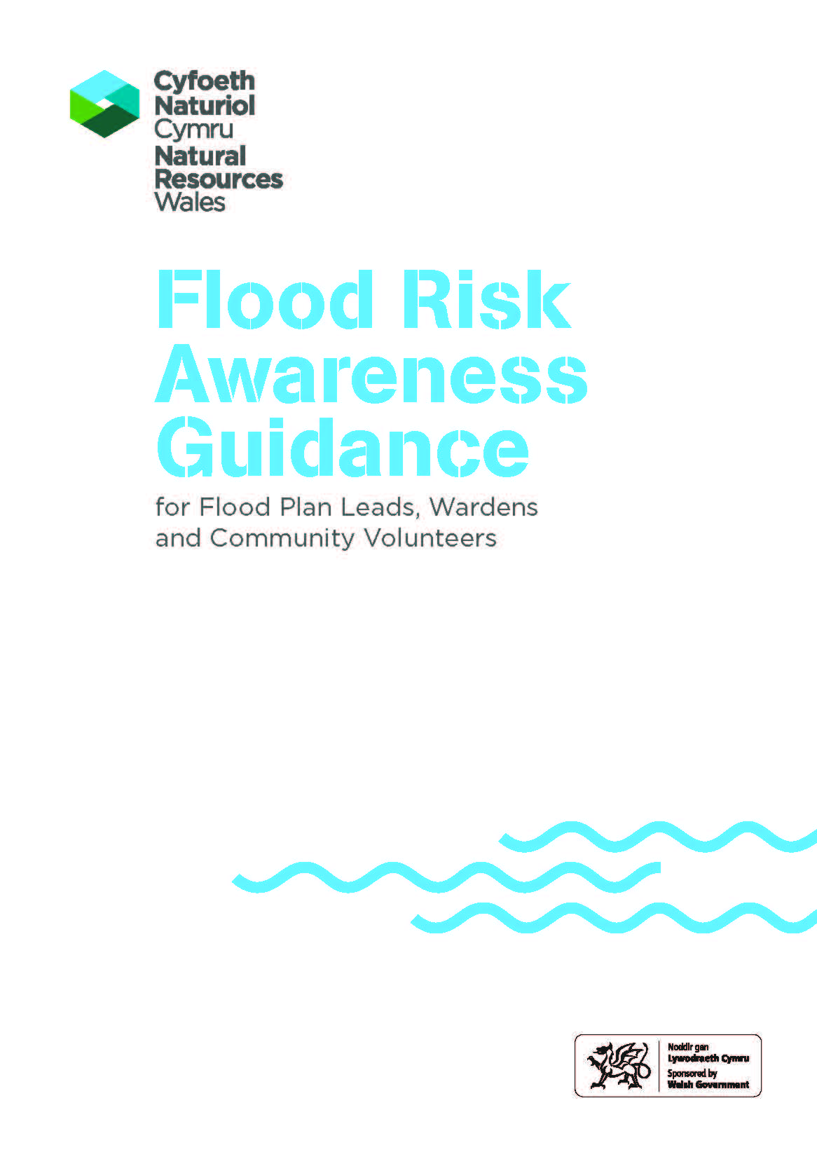 Image of front page of Flood Risk Awareness Guidance