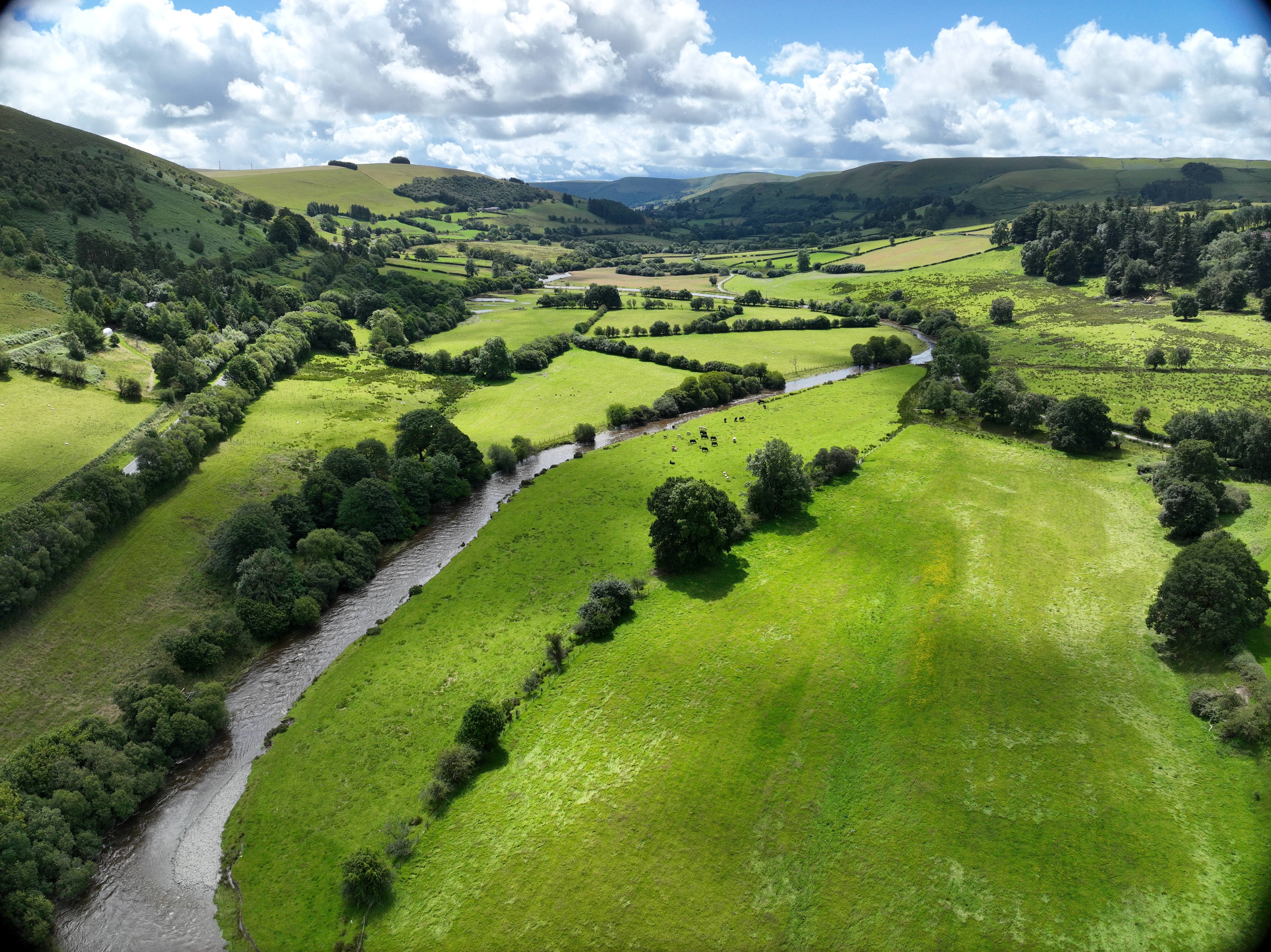 Llangurig