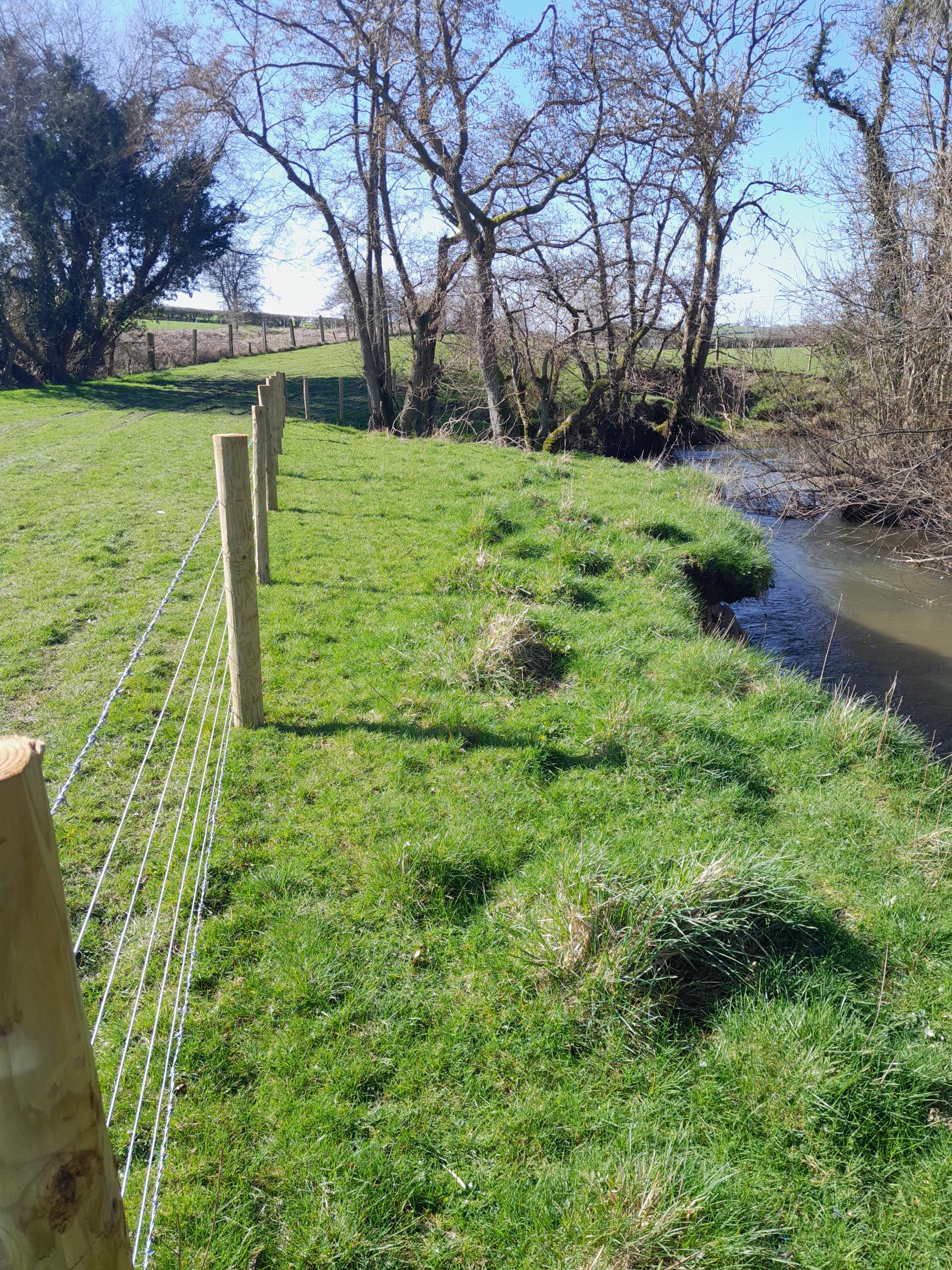Buffer Strip