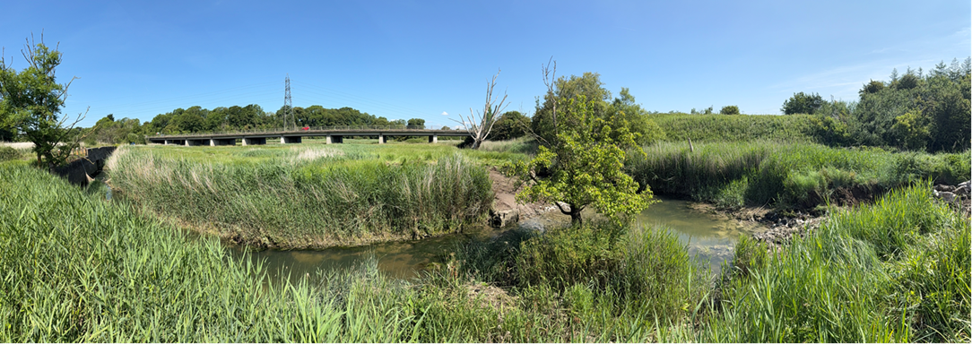 Kenson River after weir removal