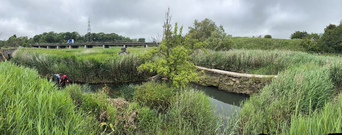Kenson River before weir removal