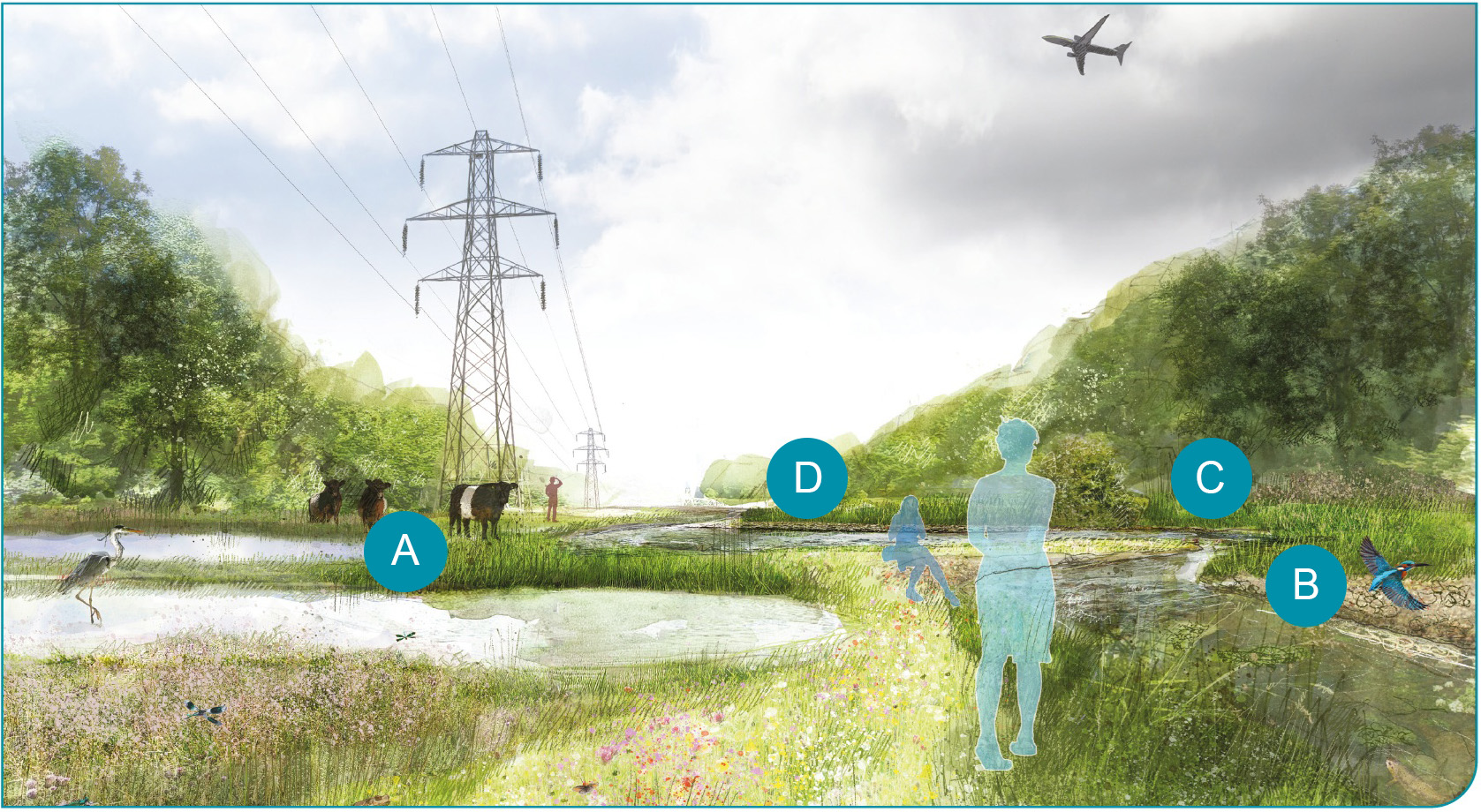 Visualisation of the downstream area