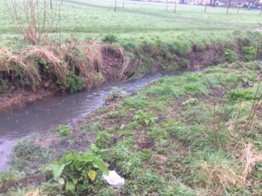 Nant y Wedal stream in Heath Park