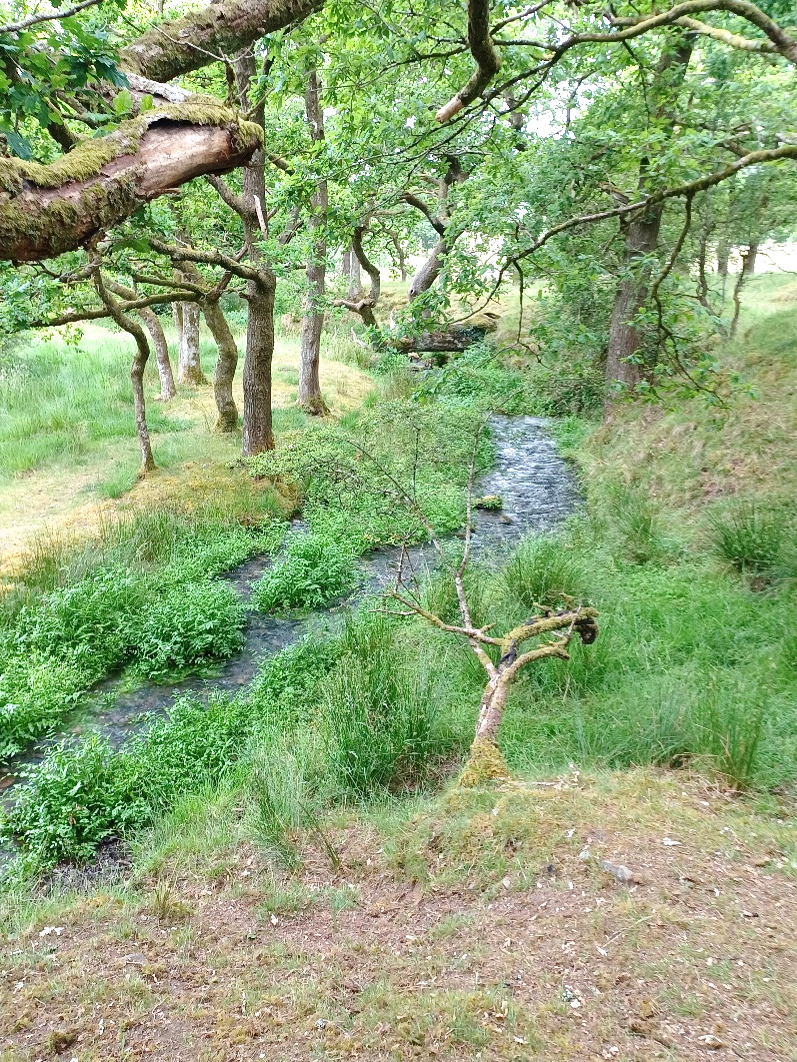 Example of a natural river system