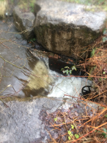 Weir in the entrance to a culvert