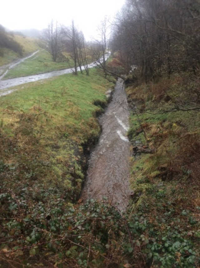 River Dare in the Dare Valley Country Park