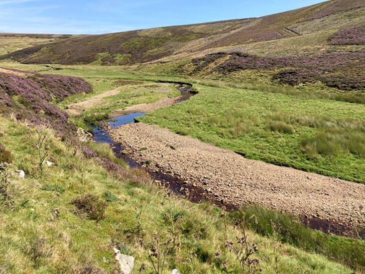 Example of a more natural river system